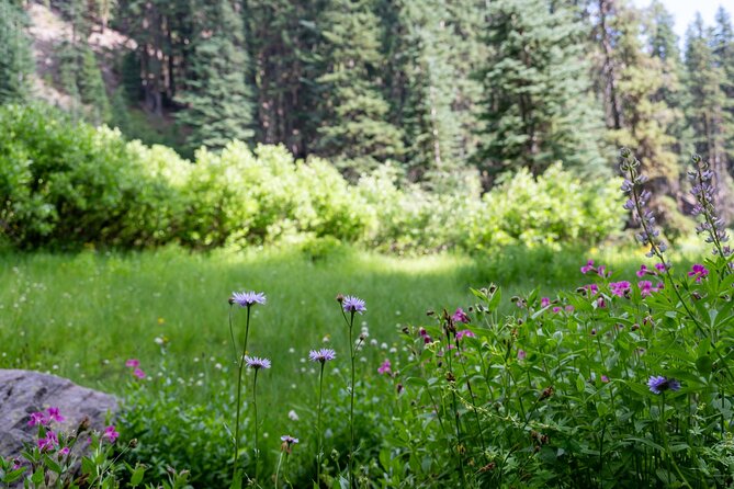 Crater Lake National Park Self-Guided Audio Tour - Annie Creek Canyon Overlook: Fossil Spires Made During the Mazama Eruption