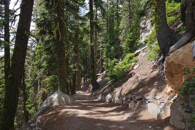 Crater Lake National Park Self-Guided Driving Audio Tour - Vidae Falls, wildflowers, and seasonal reality checks
