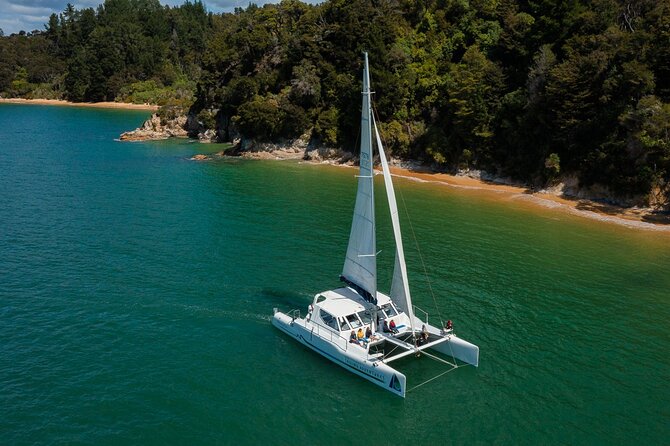 Cruise, Walk, and Sail in Abel Tasman National Park - Anchorage Bay and the Pitt Head loop: a walk with real effort