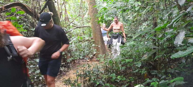 Cuc Phuong National Park Hiking Tour - Key Highlights You’ll Feel in Your Day