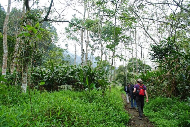 Cuc Phuong National Park Private Day Tour: Trekking & Primates - From Hanoi to Cúc Phương: the day trip that really feels like a day