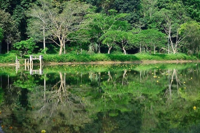 Cuc Phuong National Park Private Day Tour: Trekking & Primates - Endangered Primate Rescue Centre: conservation you can actually witness