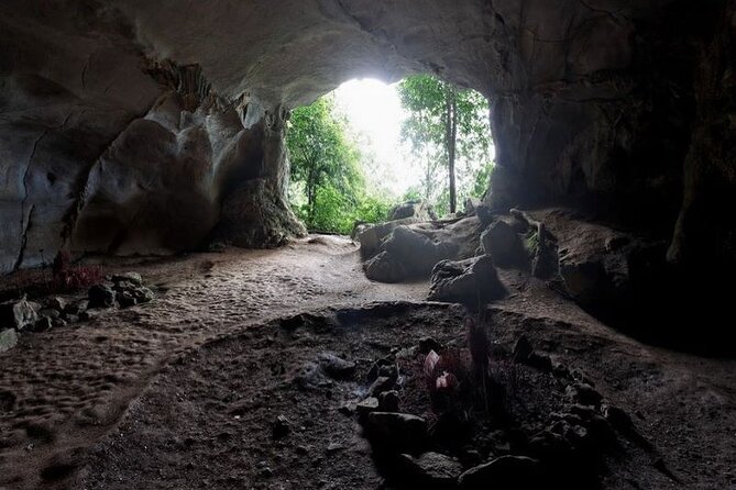 Cuc Phuong National Park Private Day Tour: Trekking & Primates - Price and value: is $99 a fair deal for a private day?