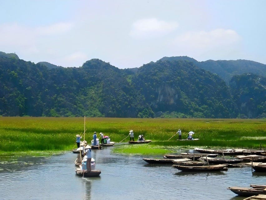 CUC PHUONG NATIONAL PARK - VAN LONG DAI LY TOUR DAY TRIP - Key highlights worth your time