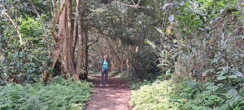 Cuc Phuong National Park - Van Long Day Trip From Hanoi - The trek after lunch: 1,000-year-old tree vibes (with real walking time)