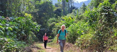 Cuc Phuong National Park - Van Long Day Trip From Hanoi - Cuc Phuong morning: primates, prehistoric cave, and Vietnam’s oldest forest