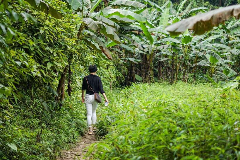 Cuc Phuong National Park - Van Long Day Trip From Hanoi - Is it worth $76 for Cuc Phuong and Van Long?