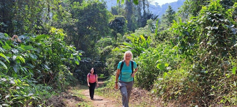 Cuc Phuong National Park - Van Long Day Trip From Hanoi - Cuc Phuong morning: primates, prehistoric cave, and Vietnam’s oldest forest