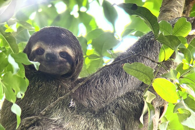 Customized Nature Walk in Manuel Antonio National Park - Key Points to Know Before You Go