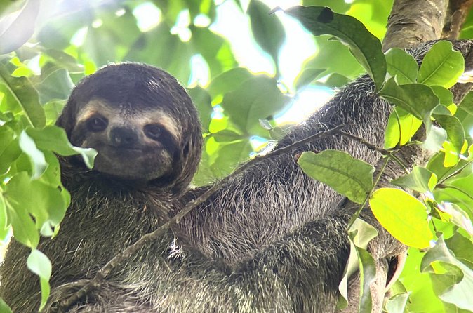 Customized Nature Walk in Manuel Antonio National Park - What to Bring (Because Snacks and Water Aren’t Included)