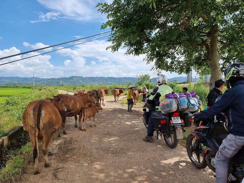 Dalat to Cat Tien National Park & Ho Chi Minh (2 or 3 Days) - Motorbike Details, Safety Gear, and the Real Comfort Factor