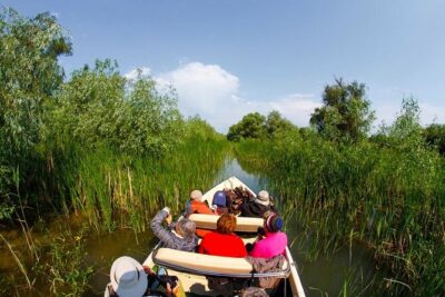 Danube Delta - Private Tour with Boat Trip & Traditional Lunch - Port Tulcea and the mid-day context: why the road stops matter