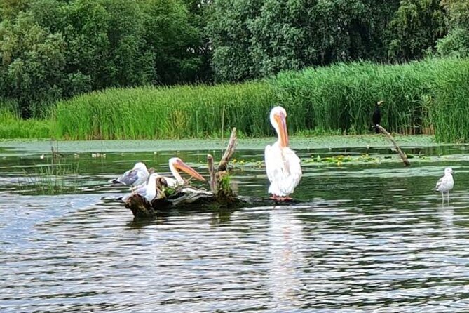 Danube Delta - Private Tour with Boat Trip & Traditional Lunch - Price and value: what the $227.70 doesn’t include