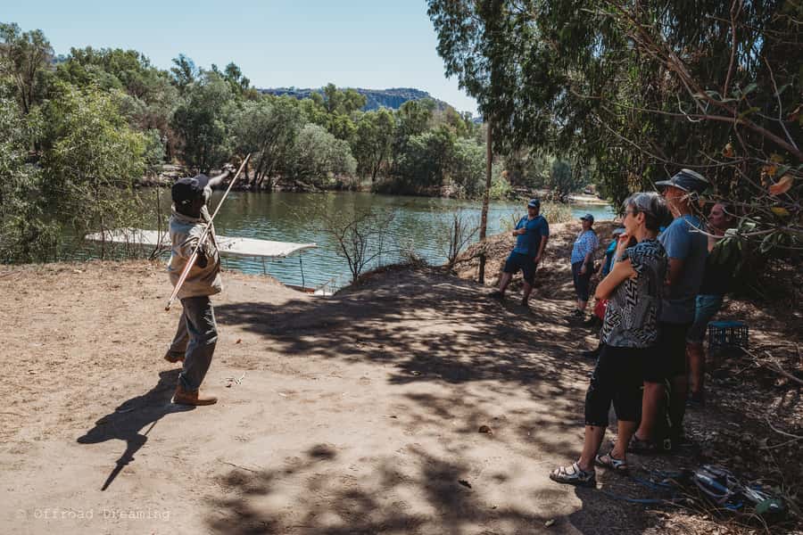 Darwin: Kakadu National Park Day Tour with Lunch - Key Highlights You’ll Feel on the Day