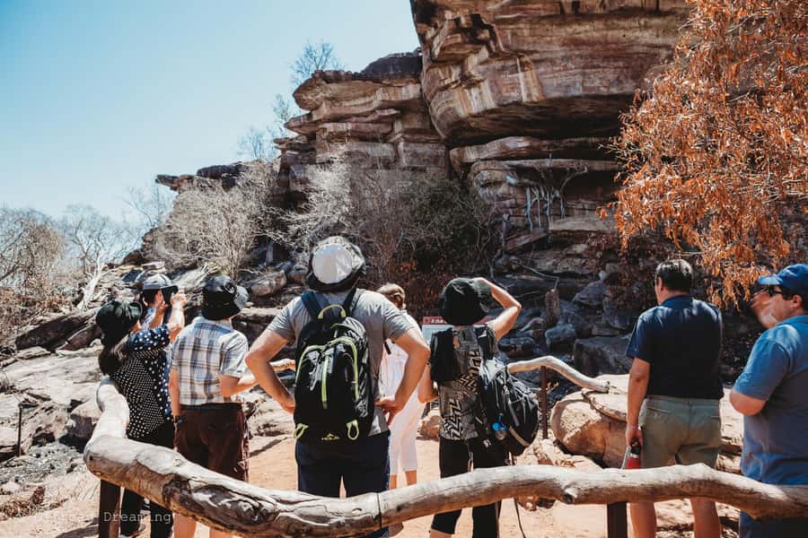 Darwin: Kakadu National Park Day Tour with Lunch - Day Trip Value: What $240 Buys in Kakadu Country