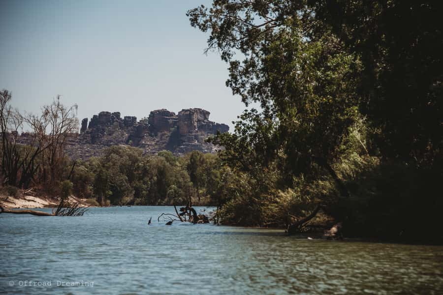 Darwin: Kakadu National Park Day Tour with Lunch - Kakadu Photo Stop: Spotting Wildlife Between Big Moments