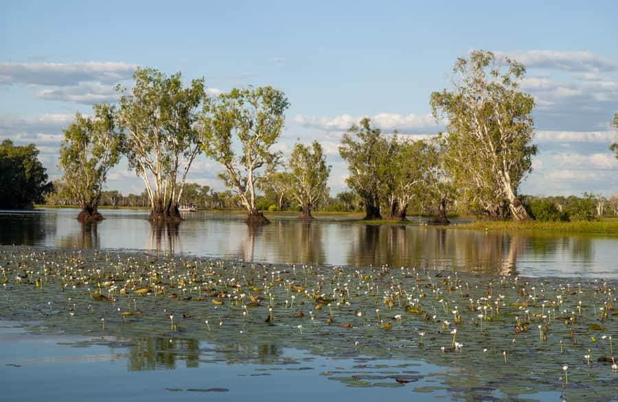 Darwin: Kakadu National Park Day Trip - Kakadu in One Day: Why the Plane-and-Boat Combo Works