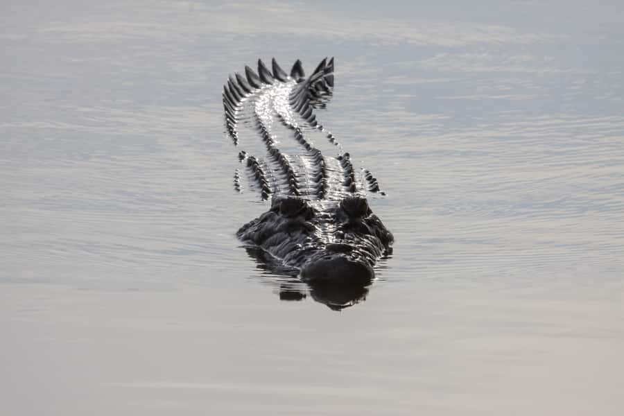Darwin: Kakadu National Park Day Trip - Warradjan Cultural Center: Learning in a Focused Hour