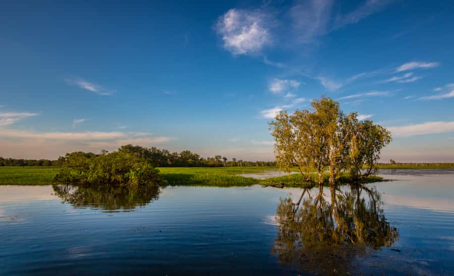 Darwin: Kakadu National Park Day Trip - The Return Ferry Flight and Getting Back to Darwin