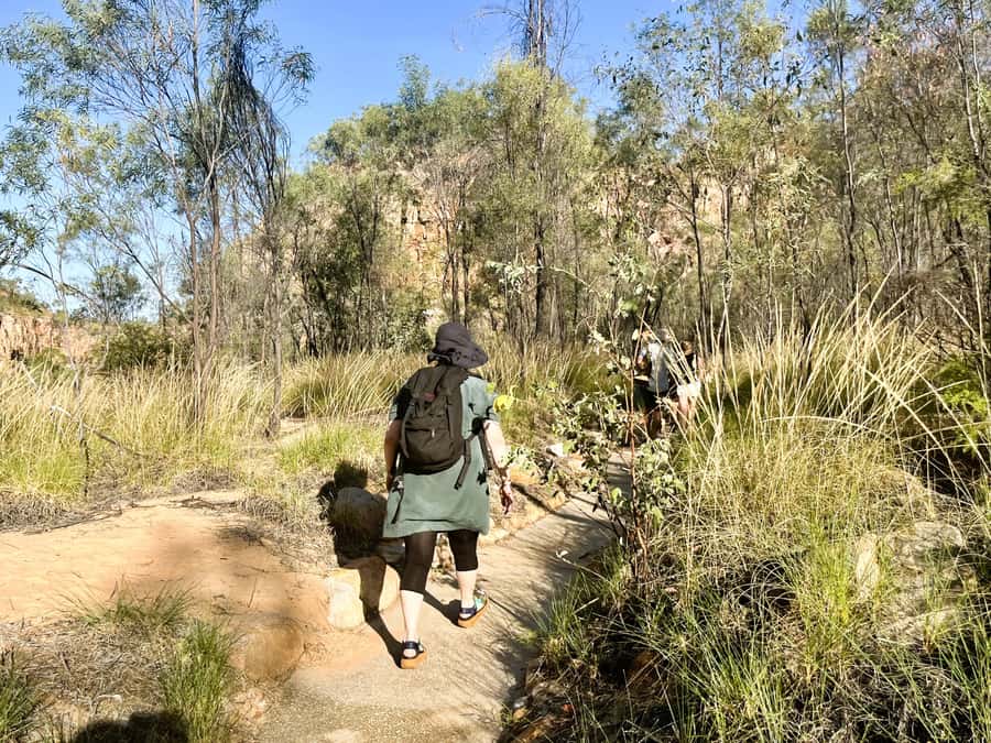 Darwin: Nitmiluk National Park Tour & Katherine Gorge Cruise - Key highlights at a glance