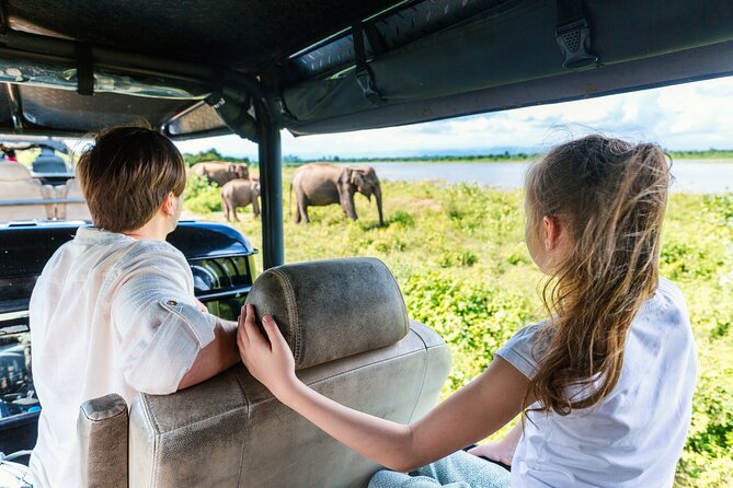 Day Excursion at Udawalawe National Park From Galle - Udawalawe National Park by 4x4: how you’ll actually spot elephants