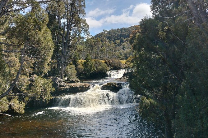 Day Excursion Burnie Cradle Mt National Park - A shore-day plan that actually respects your time window