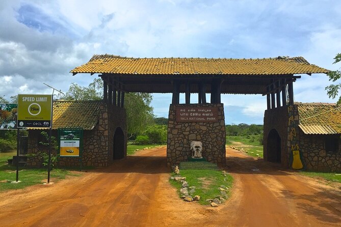 Day Excursion to Yala National Park From Colombo - Key highlights