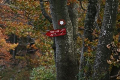 Day Hike in National Park Risnjak from Zagreb - Schlosser Hut: the main climb (and the optional rock scramble)