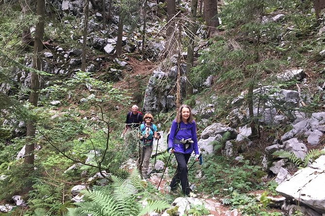 Day Hike in National Park Risnjak from Zagreb - Petra the guide: why her style boosts the whole day