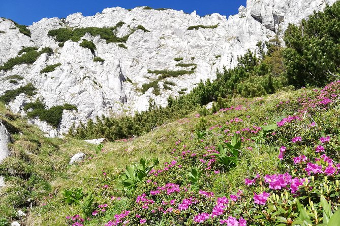 Day Hike PRIVATE - Piatra Craiului National Park - Getting to Zărnești Canyon without the stress