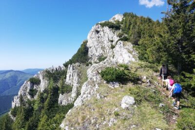 Day Hike PRIVATE - Piatra Craiului National Park - A licensed guide who matches your pace (not just your ticket)