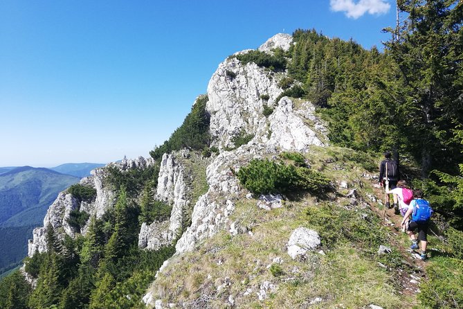 Day Hike PRIVATE - Piatra Craiului National Park - A licensed guide who matches your pace (not just your ticket)
