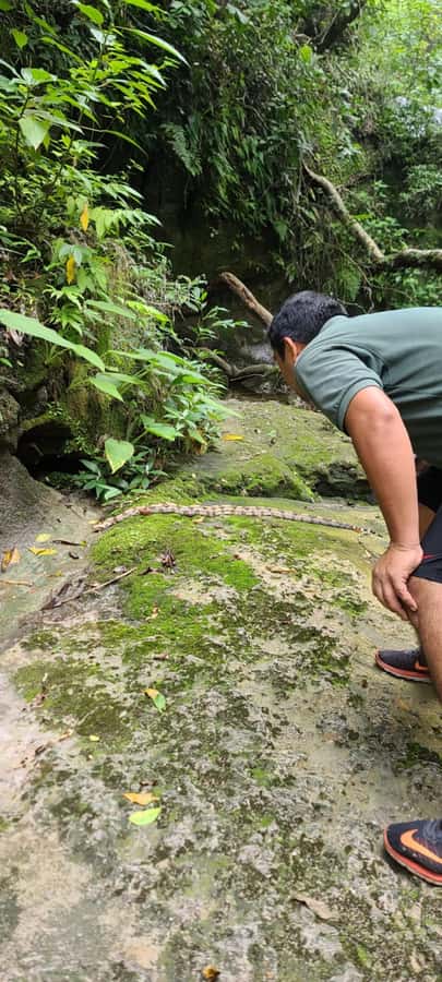 Day Tour / Amboro National Park (north side) - Key points to know before you go
