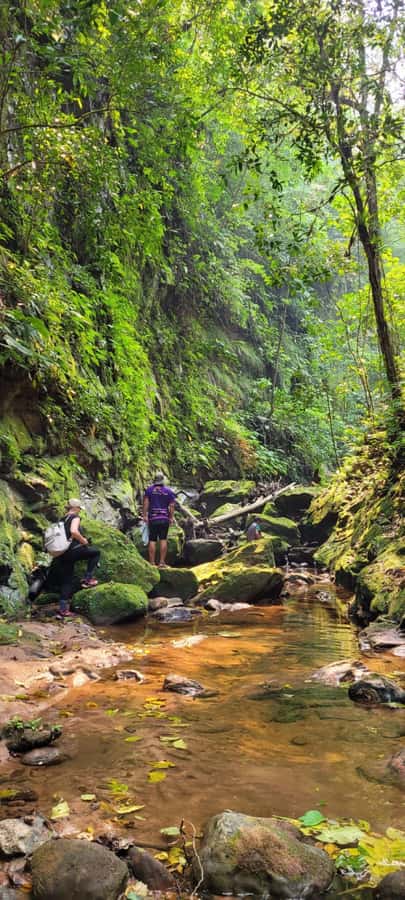 Day Tour / Amboro National Park (north side) - River Crossings, Sandals, and Natural Pools