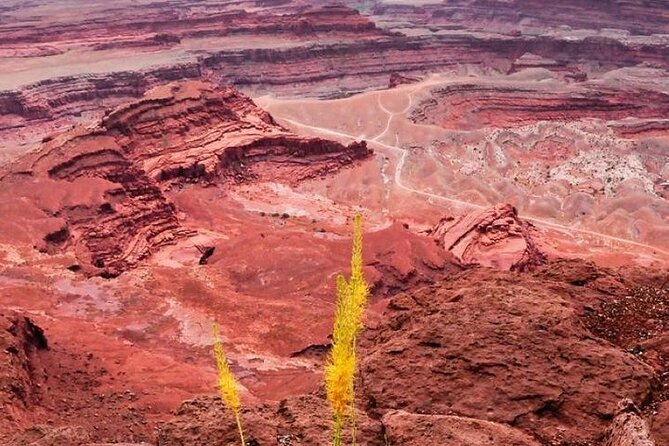 Day Tour Arches and Canyonlands National Park in Utah - Why this Arches + Canyonlands day works (and most do not)