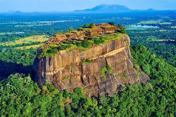 Day Tour from kandy to Sigiriya, Dambulla & National Park safari. - Minneriya National Park safari: elephant gatherings, real-world variability