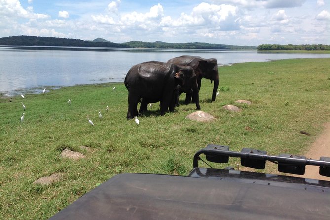 Day Tour from kandy to Sigiriya, Dambulla & National Park safari. - Who this tour suits best (and who should rethink it)