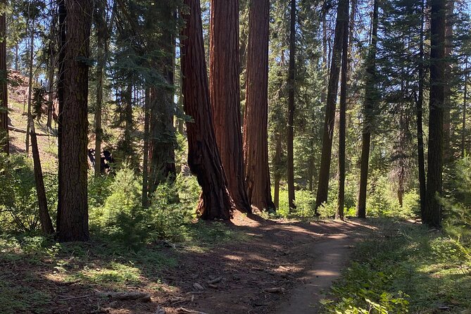 Day Tour to Kings Canyon National Park - Key things that make this Kings Canyon day special