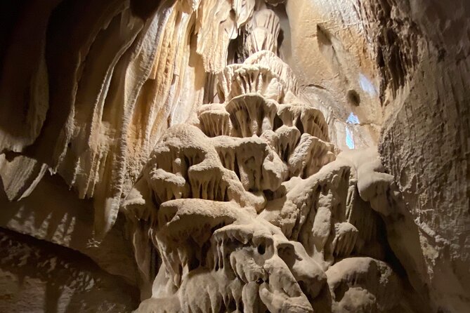 Day Tour to Kings Canyon National Park - The guide experience: Alexis (and why guide depth matters)