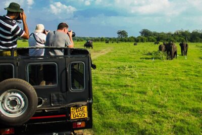 Day tour to Minneriya National Park,Sigiriya & Dambulla from Kandy - Dambulla Cave Temple: The Steps, the Air, and the Payoff