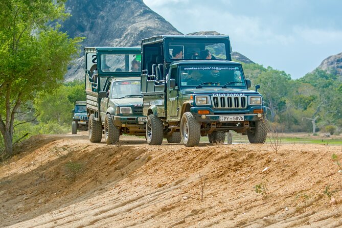 Day Tour to Wilpattu National Park from Colombo - Key things to know before you go