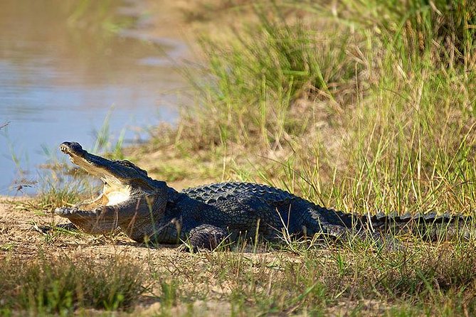 Day Tour to Wilpattu National Park from Colombo - Food, breaks, and staying sane for 12 to 14 hours