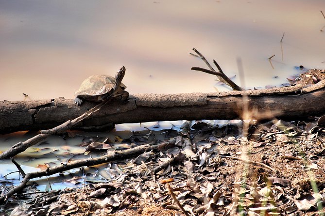 Day Tour to Wilpattu National Park from Colombo - Who this Colombo-to-Wilpattu day tour fits best