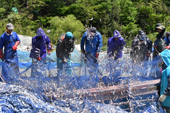 Day trip to beautiful Korean marine national park, Hallyeohaesang - Why Hallyeohaesang Feels So Special from Busan