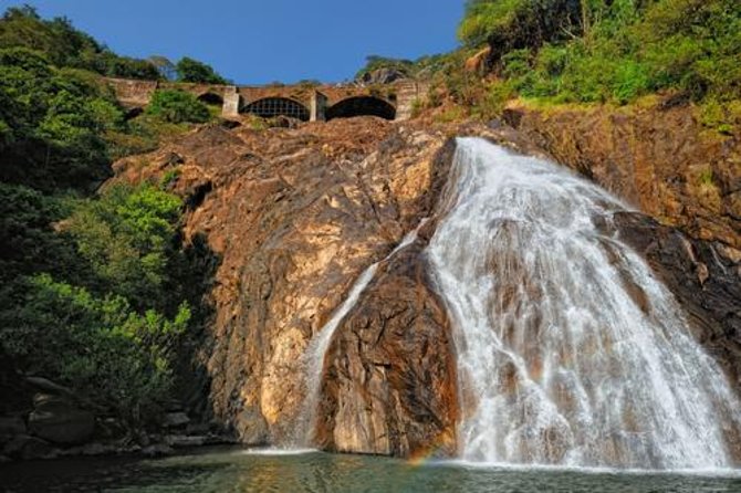 Day Trip to Mollem National Park Including Dudhsagar Falls and Jeep Safari from Goa - Heading inland: the 7-hour route that changes your Goa day