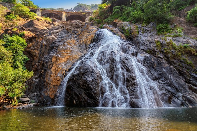 Day Trip to Mollem National Park Including Dudhsagar Falls and Jeep Safari from Goa - Sahakari Spice Farm: what you learn in 2 hours (and what you may wish you had)
