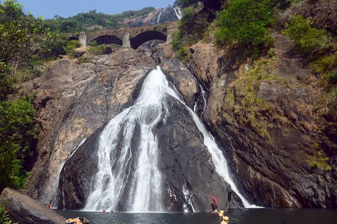 Day Trip to Mollem National Park Including Dudhsagar Falls and Jeep Safari from Goa - Lunch and timing: how the day stays structured (mostly)
