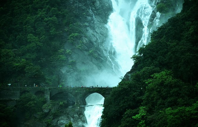 Day Trip to Mollem National Park Including Dudhsagar Falls and Jeep Safari from Goa - Price and value: what $203 includes, and what you give up
