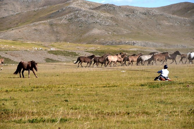Day Trip to Terelj National Park & Giant Chinggis Khaan Statue - From Ulaanbaatar to the Statue Complex: why the timing matters