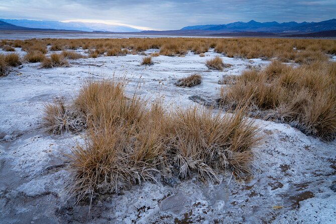 Death Valley National Park Self-Guided Audio Driving Tour - Mars Hill, Artist’s Palette, and Devils Golf Course: color with a reason